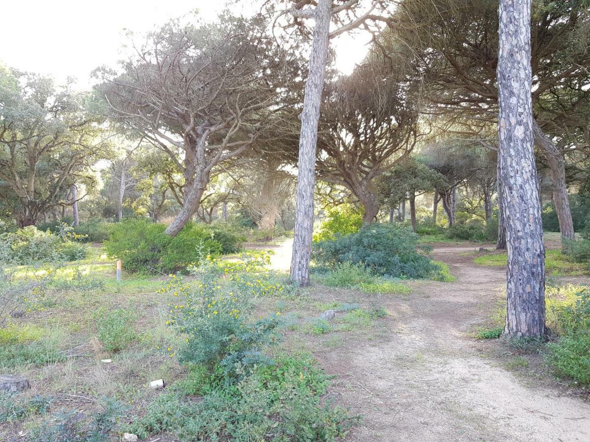 Apartamento Pinar Del Atlantico-La Barrosa Chiclana de la Frontera Exterior foto